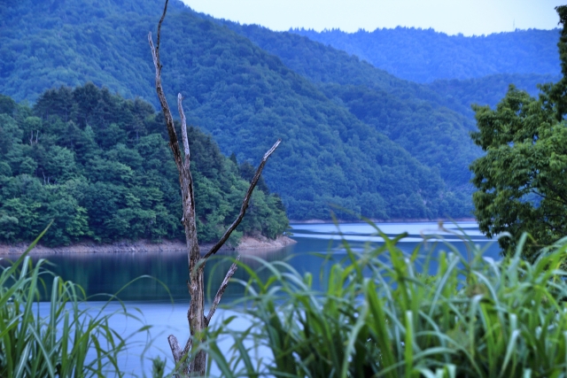 九頭竜湖の風景